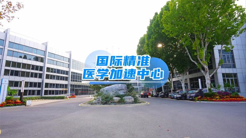 肠道菌群检测:解锁健康密码